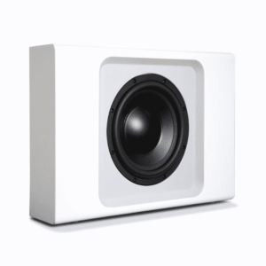 Bluesound PULSE SUB + draadloze speaker
