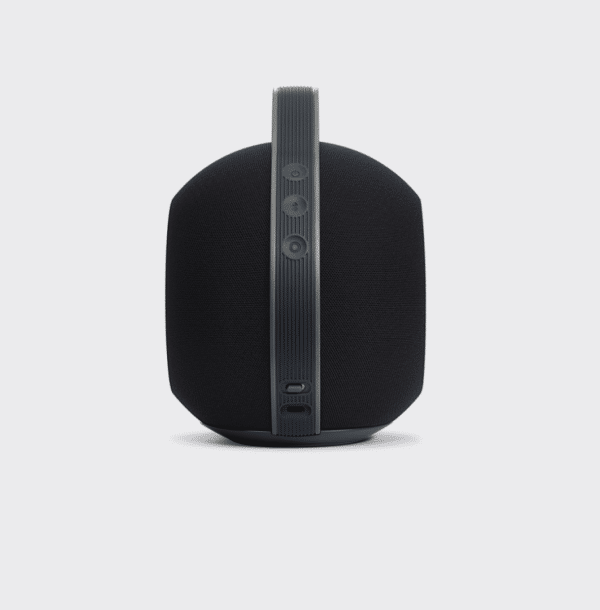 DEVIALET MANIA DRAADLOZE LUIDSPREKER - Afbeelding 4