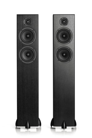 Totem BISON TWIN TOWER zwart essen luidspreker