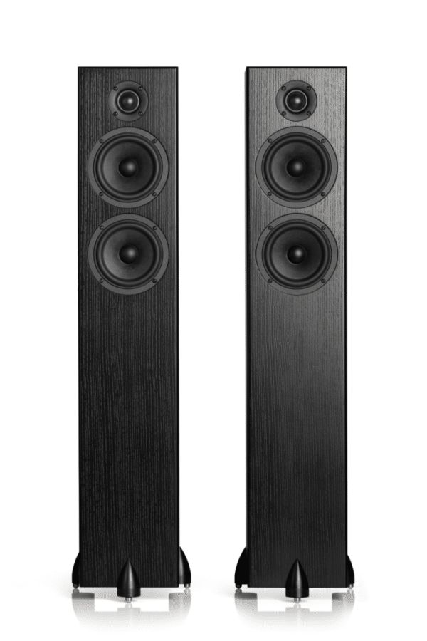 Totem BISON TWIN TOWER zwart essen luidspreker
